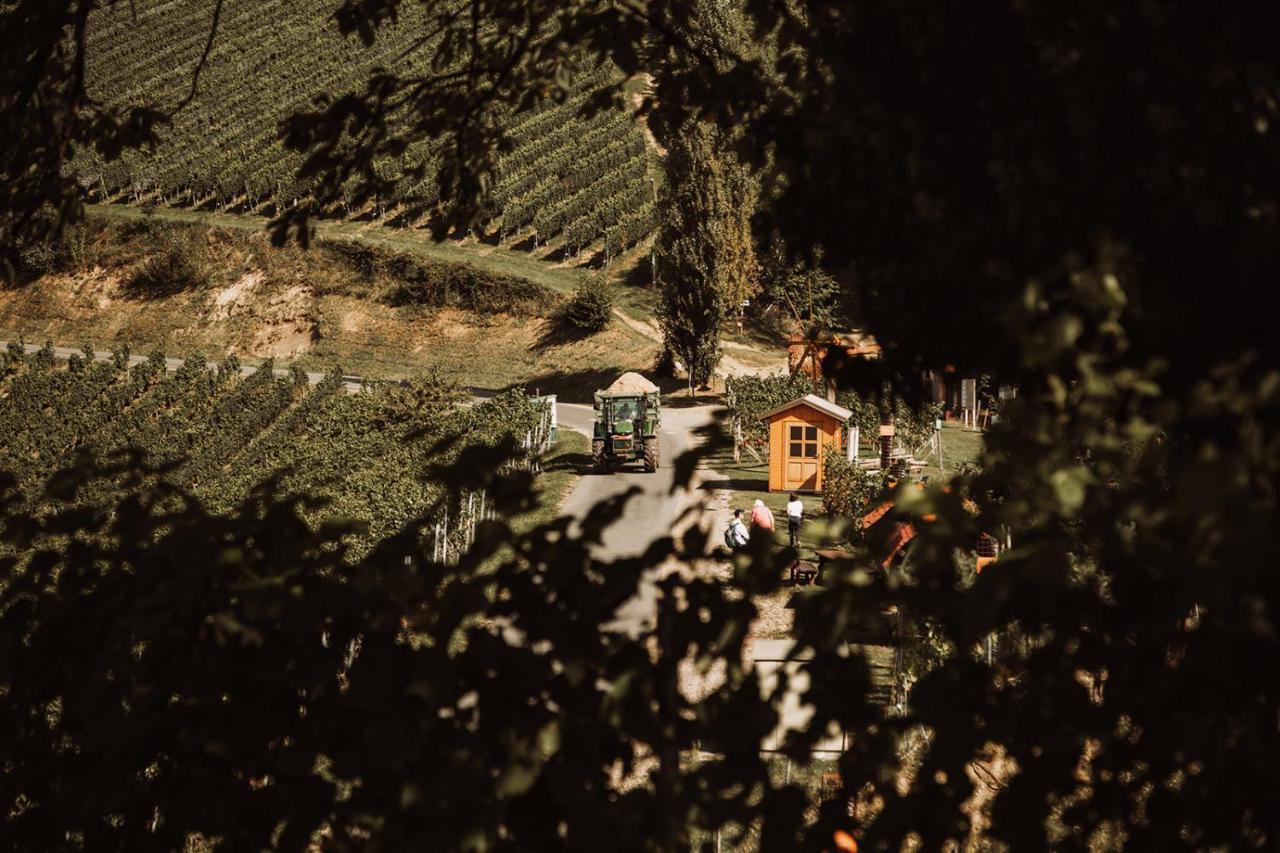Weingut Kollerhof Am Eichberg Villa Лейтшах Екстериор снимка